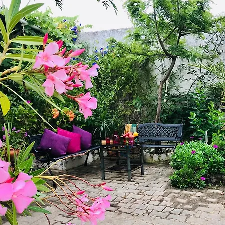 Bed & Breakfast Ceu Sobre Montejunto Boutique Cadaval