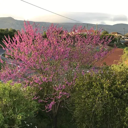 Panzió Ceu Sobre Montejunto Boutique *